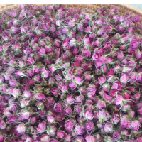 تولید گلاب و عرقیات در گلپایگان