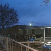 فروش گاوداری در کرج