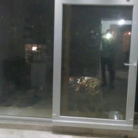 تولید انواع درب و پنجره دوجدارهUPVC با قیمت مناسب دربندرماهشهر