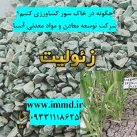 چگونه در خاک شور با کمک زئولیت کشاورزی کنیم؟