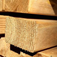 تولید کننده چوب بدون هیچگونه محدودیت سایزی