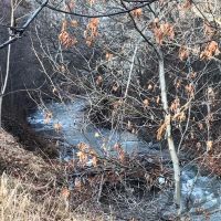 فروش زمین در کردان برغان ٣ هکتار کنار رودخانه ٤٠٠ متر رودخانه