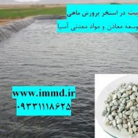 فروش زئولیت بستر پرورش ماهی