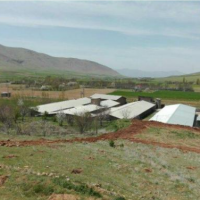 فروش 2 هکتار مرغداری صنعتی در کرمانشاه