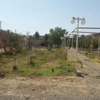 فروش زمین کشاورزی در ساوه