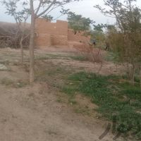 فروش 1000متر زمین در اسماعیل آباد با قیمت مناسب