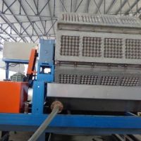 واردات وراه اندازی خط تولید شانه تخم مرغ