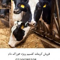 خرید کربنات کلسیم خوراک  دام- فروش کربنات کلسیم معدن کاوان