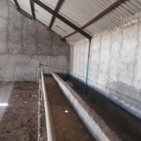 فروش گاوداری 762متری در کرج