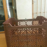 تولید سبدهای یکبار و چندبار مصرف در شاهرود