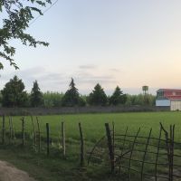 فروش کارخانه بسته بندى با وام در بندر انزلی