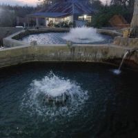 فروش استخر پرورش ماهی در رشت