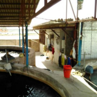 فروش 480 متر جایگاه استخر ماهی مختص قزل آلا براری در ساری