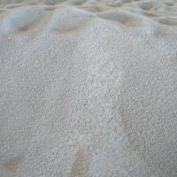 لیست قیمت خاک گربه