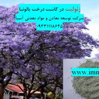 فروش زئولیت در کاشت درخت پالونیا