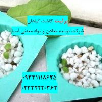 فروش پرلیت کشت گل در تهران