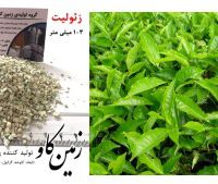 تاثیرات زئولیت در رشد گیاه (Zeolite)