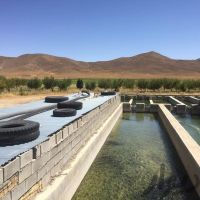 فروش پرورش ماهی در شیراز