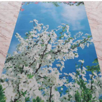 تولید تایل آسمان مجازی در ابعاد دلخواه