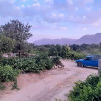 مشاور خرید کود