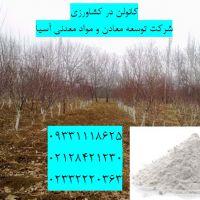 فروش کائولن در کشاورزی