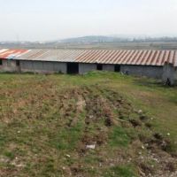 فروش 7000 متر مرغداری در قایمشهر