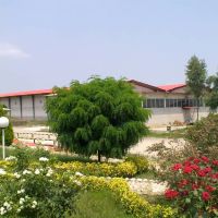 فروش مجتمع سردخانه و سورتینگ ۱۰۰۰۰ متر مربع شرق مازندران