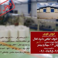 فروش کارخانه تولید ظروف یکبار مصرف