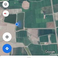 استخر پرورش ماهی و شالیزار