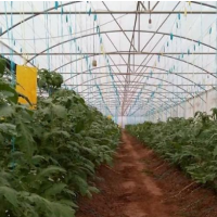 فروش ومعاوضه 2000 متر گلخانه در سنندج