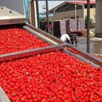 فروش کارخانه مواد غذایی 8500 متر در بروجرد لرستان