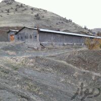 فروش مرغداری در سنندج