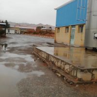 فروش تعدادی از سهام ،یا اجاره کارخانه لبنیات