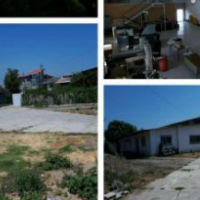 فروش 1950 متر سوله صنعتی در رامسر