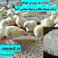 فروش زئولیت در خوراک و بستر طیور