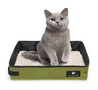 فروش خاک گربه