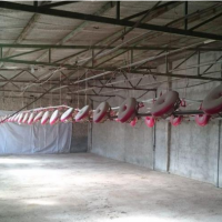 فروش 1255 متر مرغداری در شهریار