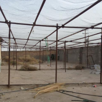 فروش 40 هزار متر مزرعه و دامداری در ساوه