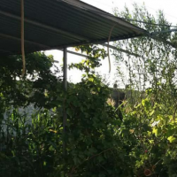 فروش 500 متر سوله و باغ در شهریار