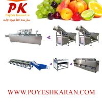 خط سورت و بسته بندی میوه و صیفی جات