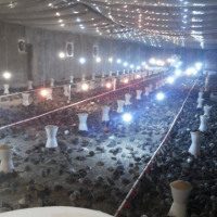 فروش ۲۵۰۰متر کارگاه  در قرچک