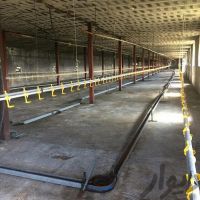 فروش مرغداری 30هزار قطعه تمام اتوماتیک در نقده