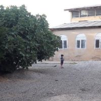 فروش سوله در ایلام