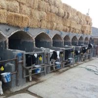 فروش گاوداری در مشهد