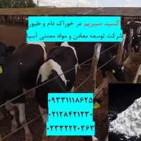 فروش اکسیدمنیزیم در خوراک دام و طیور