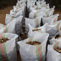 فروش ماهی خشک شده مخلوط ، خرید ماهی خشک شده مخلوط برای تولید پودر ماهی