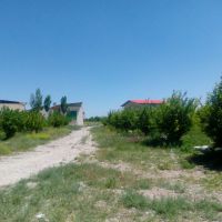 فروش کارخانه ماء الشعیر