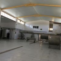 کارخانه پنیر پیتزا در گیلان غرب