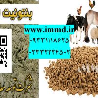 فروش بنتونیت پلیت خوراک دام