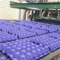 فروش خط تولید شانه تخم مرغ در تبریز